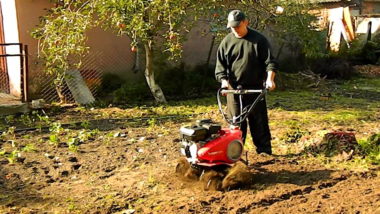 Газонокосилки и культиваторы.